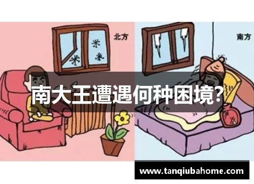 南大王遭遇何种困境？