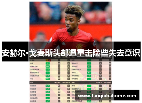 安赫尔·戈麦斯头部遭重击险些失去意识